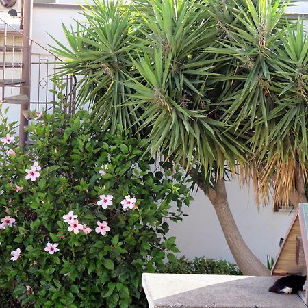 Casa Floriana A San Leone Villa Eksteriør bilde